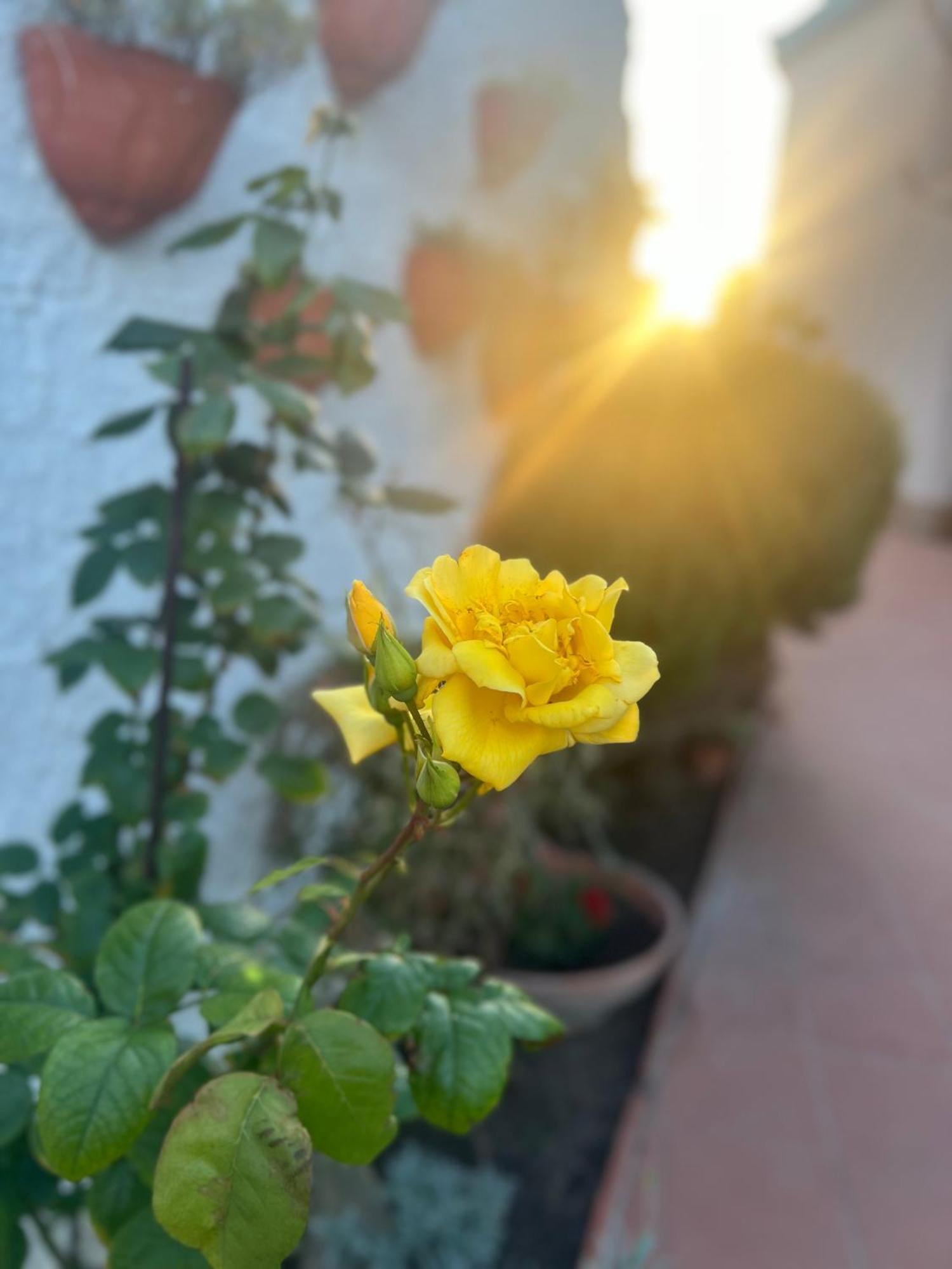 Hotel Rosa Dei Venti à Cagliari Extérieur photo